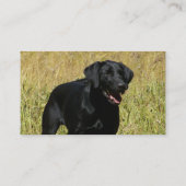 Schwarzer Labrador in den Feld-Geschäfts-Karten Visitenkarte (Rückseite)