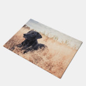 Schwarzer Labrador in trockenem Gras Fußmatte (Schrägansicht)