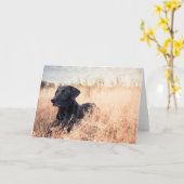 Schwarzer Labrador in trockenem Gras Karte (Gelbe Blume)