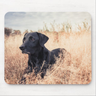 Schwarzer Labrador in trockenem Gras Mousepad