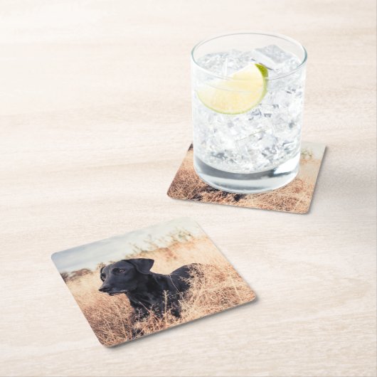 Schwarzer Labrador in trockenem Gras Rechteckiger Pappuntersetzer (Vor Ort)