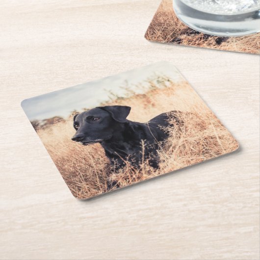 Schwarzer Labrador in trockenem Gras Rechteckiger Pappuntersetzer (angewinkelt)