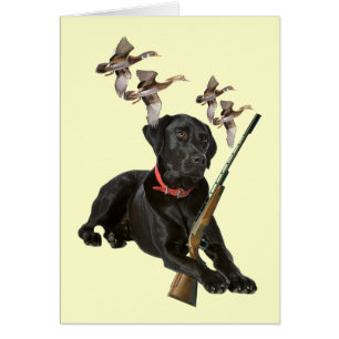 Schwarzer Labrador jagt Karten
