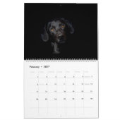 Schwarzer Labrador Kalender (Feb 2027)