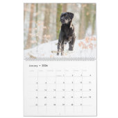Schwarzer Labrador Kalender (Jan 2026)