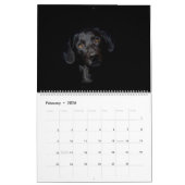 Schwarzer Labrador Kalender (Feb 2026)