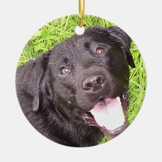 Schwarzer Labrador Keramik Ornament (Vorne)