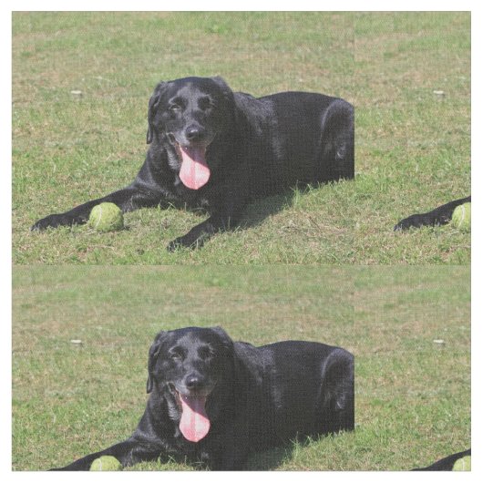 schwarzer Labrador laying.png Stoff (Nahaufnahme)