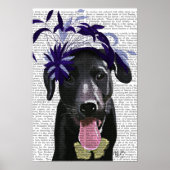 Schwarzer Labrador mit blauem Faszinator Poster (Vorne)