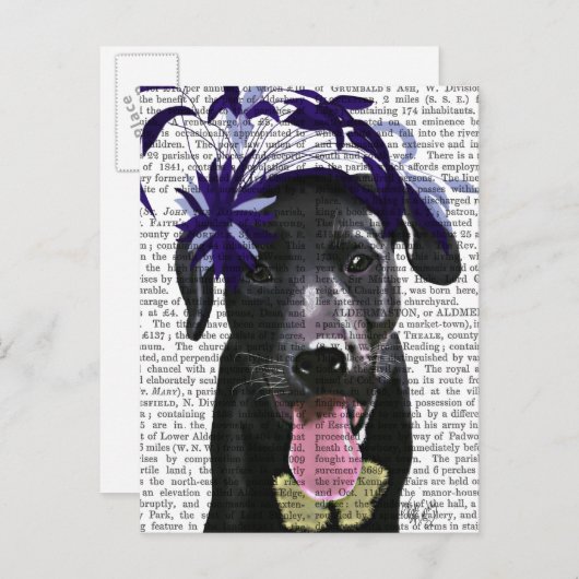 Schwarzer Labrador mit blauem Faszinator Postkarte (Vorne/Hinten)