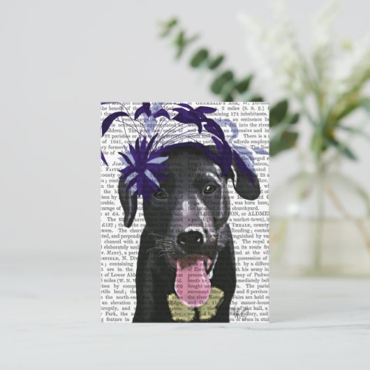 Schwarzer Labrador mit blauem Faszinator Postkarte (Stehend Vorderseite)