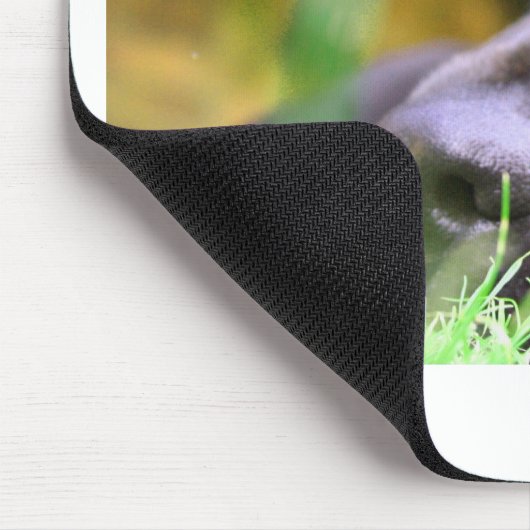 schwarzer Labrador Mousepad (Ecke)