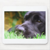 schwarzer Labrador Mousepad (Vorne)