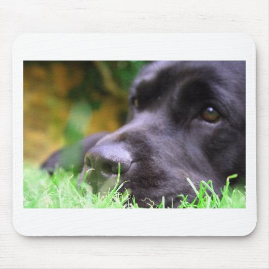 schwarzer Labrador Mousepad (Vorne)