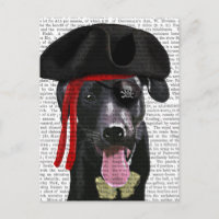 Schwarzer Labrador Pirate