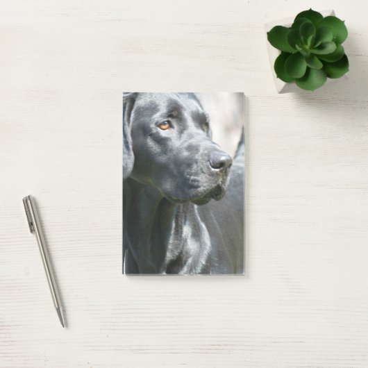 Schwarzer Labrador Post-it Klebezettel (Büro)