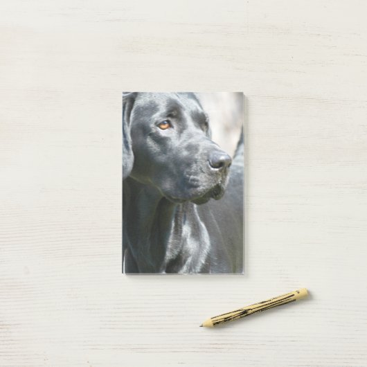 Schwarzer Labrador Post-it Klebezettel (Auf Schreibtisch)