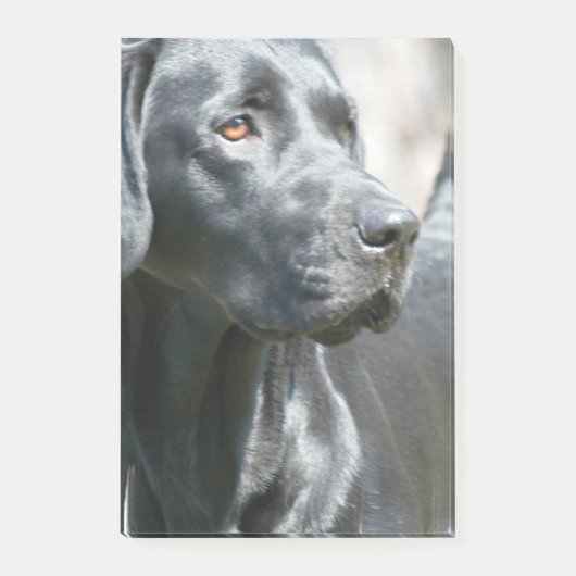 Schwarzer Labrador Post-it Klebezettel (Vorderseite)