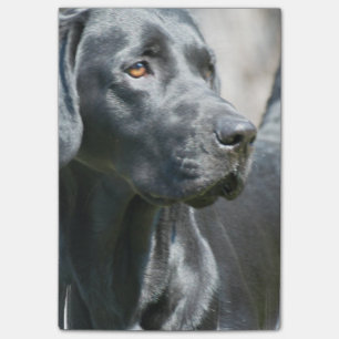 Schwarzer Labrador Post-it Klebezettel