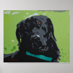 Schwarzer Labrador Poster