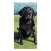 Schwarzer Labrador Retriever Arleigh über die Küst Poster (Vorderseite)