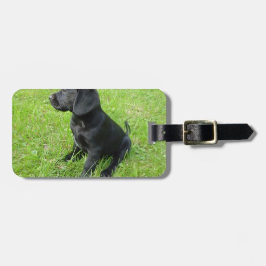 Schwarzer Labrador Retriever auf Gras Gepäckanhänger (Vorderseite horizontal)