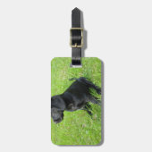 Schwarzer Labrador Retriever auf Gras Gepäckanhänger (Vorderseite vertikal)
