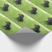 Schwarzer Labrador Retriever auf Gras Geschenkpapier (Ecke)