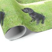 Schwarzer Labrador Retriever auf Gras Geschenkpapier (Rolleneckpunkt)