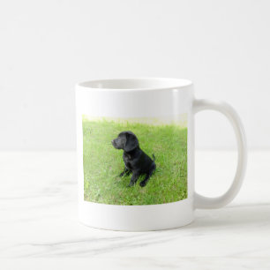 Schwarzer Labrador Retriever auf Gras Kaffeetasse