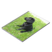 Schwarzer Labrador Retriever auf Gras Notizblock (Linke Seite)