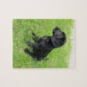 Schwarzer Labrador Retriever auf Gras Puzzle (Horizontal)