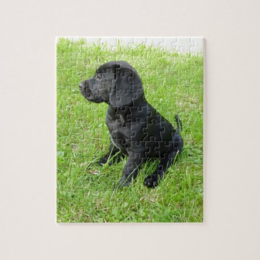 Schwarzer Labrador Retriever auf Gras Puzzle (Vertikal)