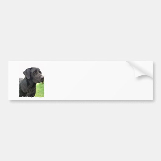 Schwarzer Labrador-Retriever-Autoaufkleber Autoaufkleber (Vorne)