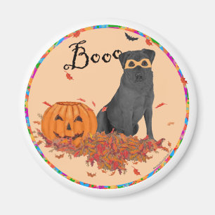 Schwarzer Labrador Retriever Halloween Magnet