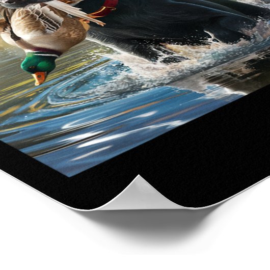 Schwarzer Labrador Retriever Hunde Jagd Enten in e Poster (Ecke)