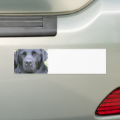 Schwarzer Labrador-Retriever-HundeAutoaufkleber Autoaufkleber (Auf Auto)