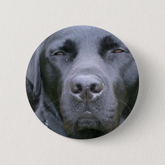 Schwarzer Labrador retriever-Hunderunder Knopf Button (Vorderseite)