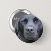Schwarzer Labrador retriever-Hunderunder Knopf Button (Vorne & Hinten)