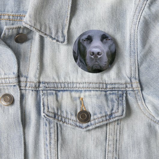 Schwarzer Labrador retriever-Hunderunder Knopf Button (Beispiel)