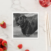 Schwarzer Labrador-Retriever im Wasser Serviette (Beispiel)