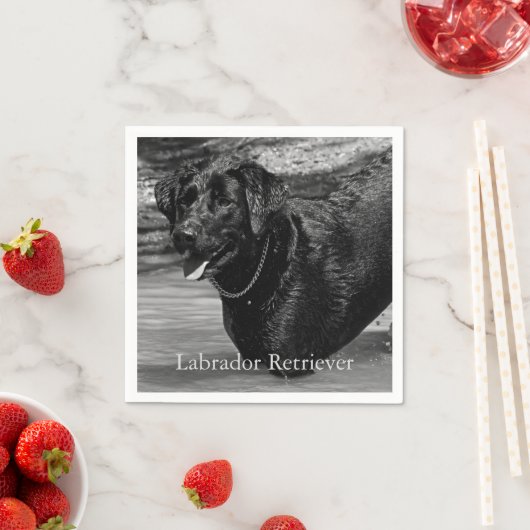 Schwarzer Labrador-Retriever im Wasser Serviette (Beispiel)