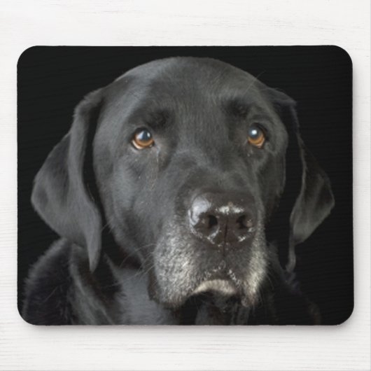 Schwarzer Labrador Retriever Mousepad (Vorne)
