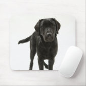 Schwarzer Labrador Retriever Mousepad (Mit Mouse)