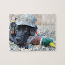 Schwarzer Labrador Retriever Niedlich Duck Hunting