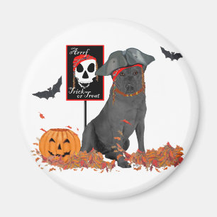 Schwarzer Labrador Retriever Pirat Magnet