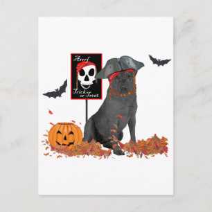 Schwarzer Labrador Retriever Pirat Postkarte