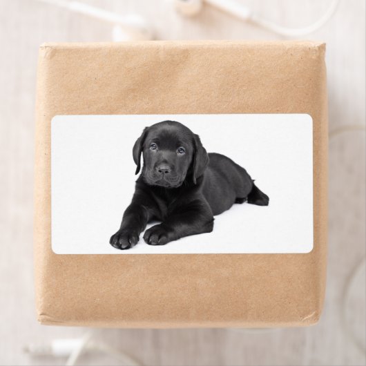 Schwarzer Labrador Retriever Puppy Hund Sticker (Insitu)