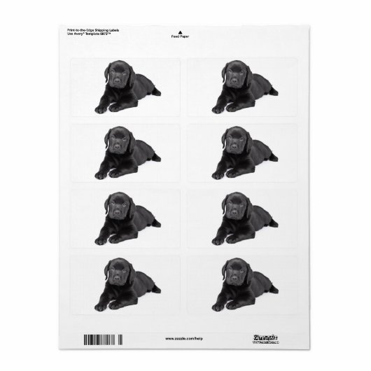 Schwarzer Labrador Retriever Puppy Hund Sticker (Vorne)