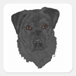 Schwarzer Labrador Retriever Quadratischer Aufkleber